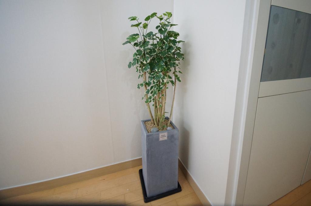 Enjoy Budget Apartment In Gangnam 2 Seoul Bagian luar foto